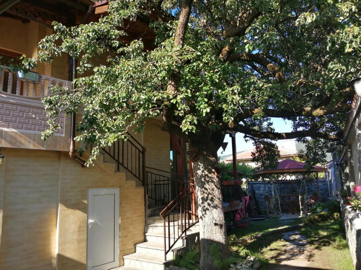 Dariya Guest House Sapareva Banya Bagian luar foto